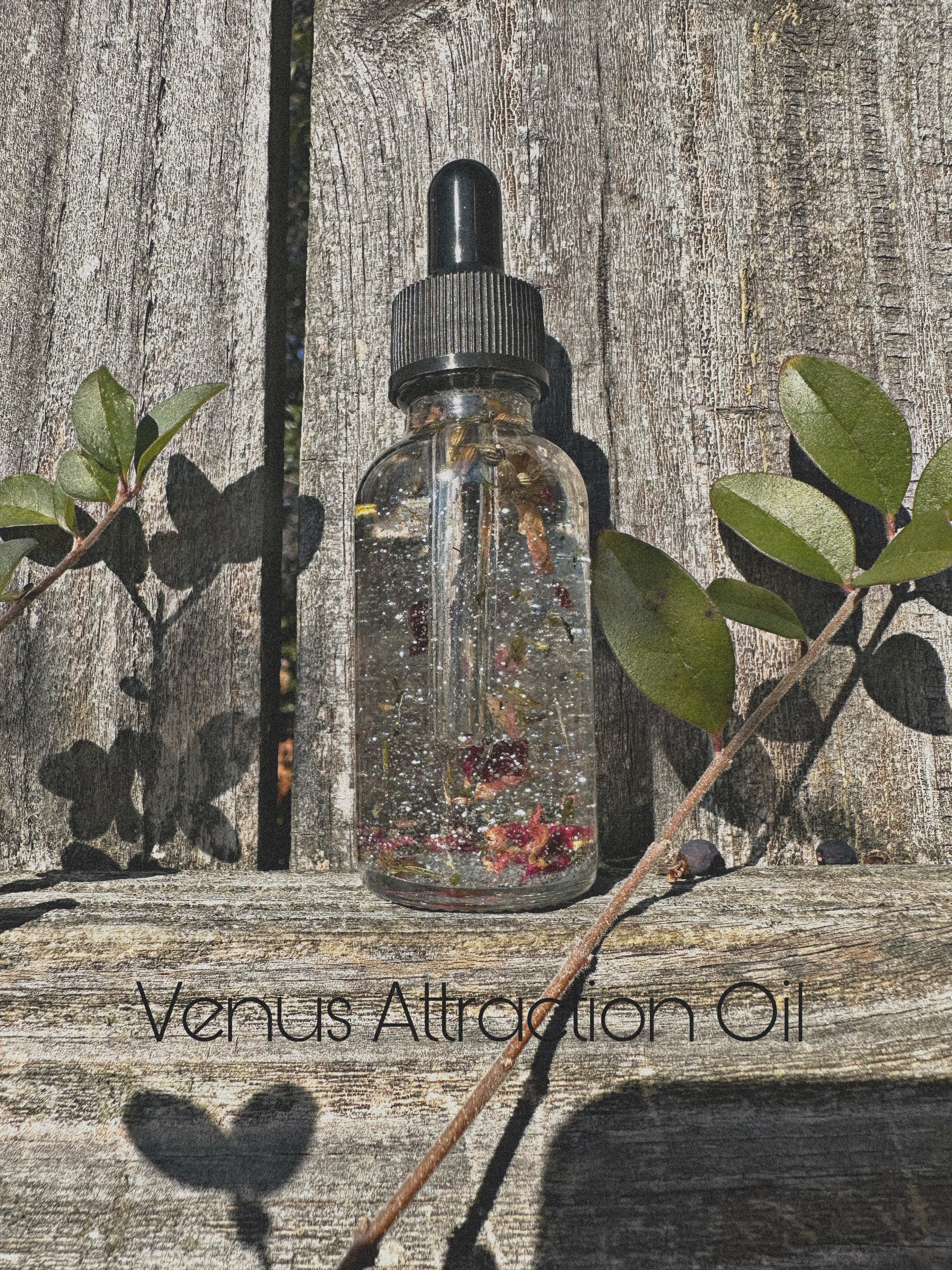 New! Venus Blessings Oil ✨